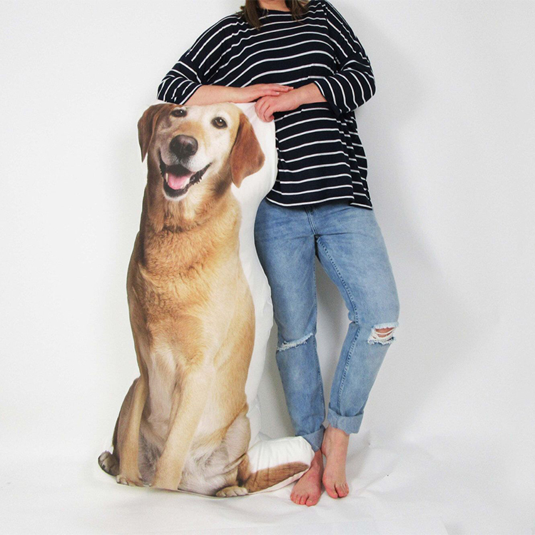 Person standing next to a life-size custom pillow of a labrador