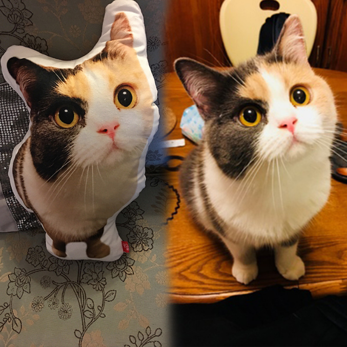 A real calico cat side by side with its matching custom photo pillow